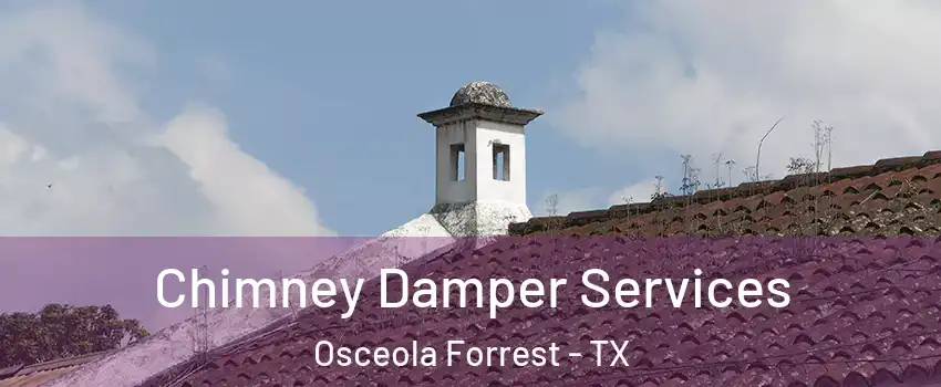 Chimney Damper Services Osceola Forrest - TX