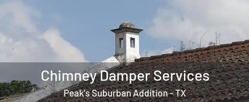 Chimney Damper Services Peak's Suburban Addition - TX
