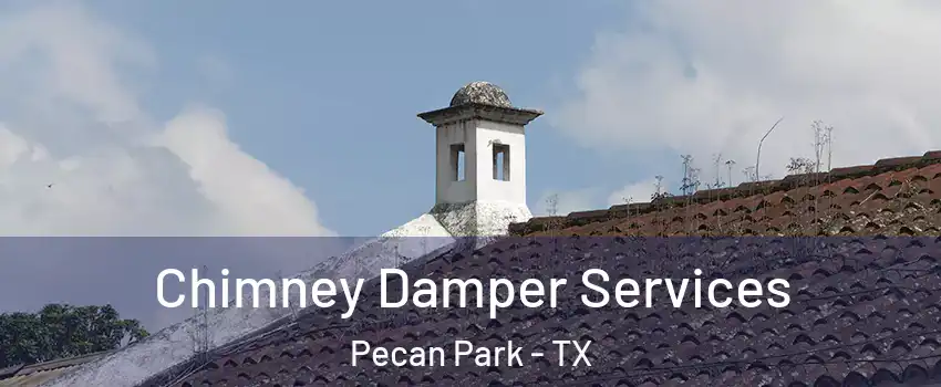 Chimney Damper Services Pecan Park - TX