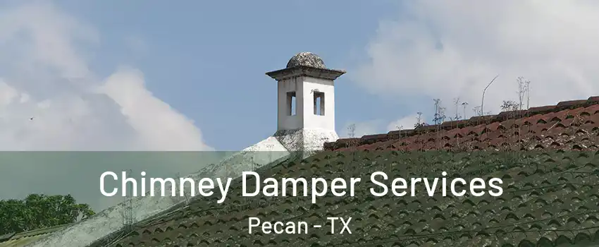 Chimney Damper Services Pecan - TX