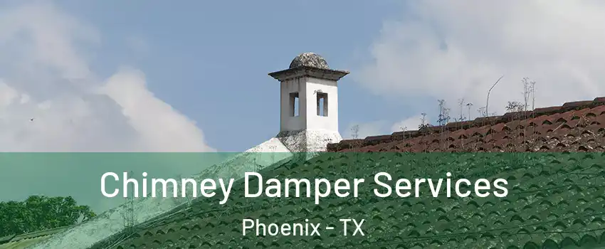 Chimney Damper Services Phoenix - TX