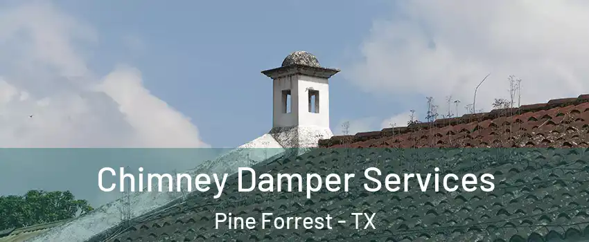 Chimney Damper Services Pine Forrest - TX