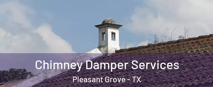 Chimney Damper Services Pleasant Grove - TX