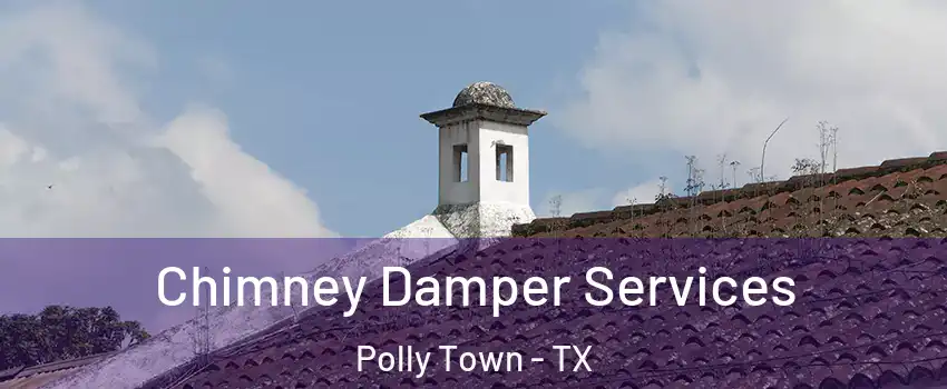 Chimney Damper Services Polly Town - TX