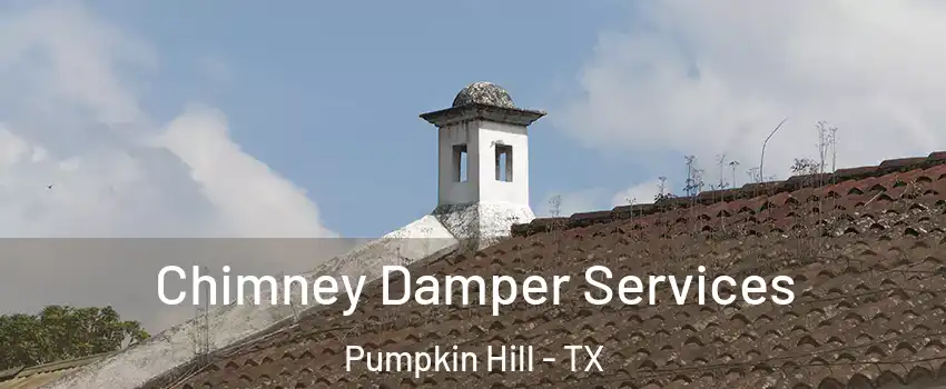 Chimney Damper Services Pumpkin Hill - TX
