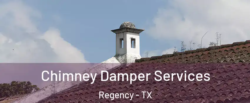 Chimney Damper Services Regency - TX