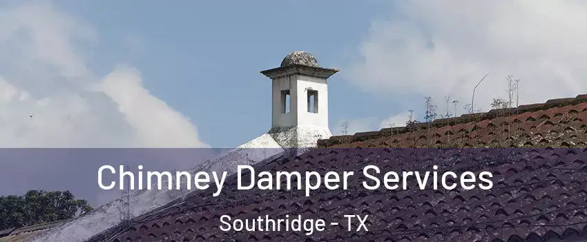 Chimney Damper Services Southridge - TX