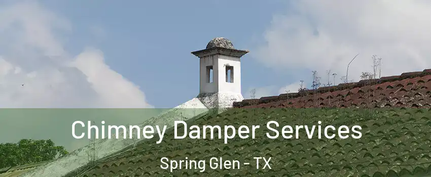 Chimney Damper Services Spring Glen - TX
