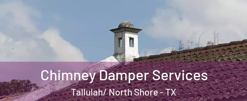 Chimney Damper Services Tallulah/ North Shore - TX