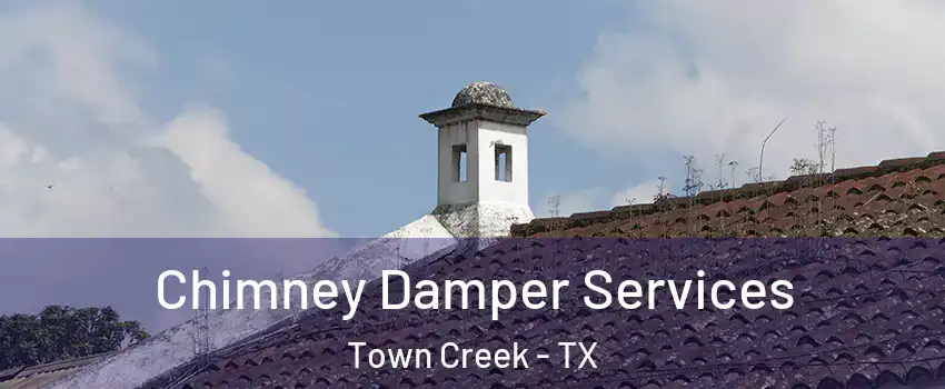 Chimney Damper Services Town Creek - TX