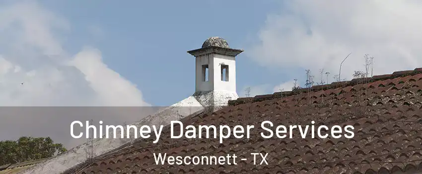 Chimney Damper Services Wesconnett - TX