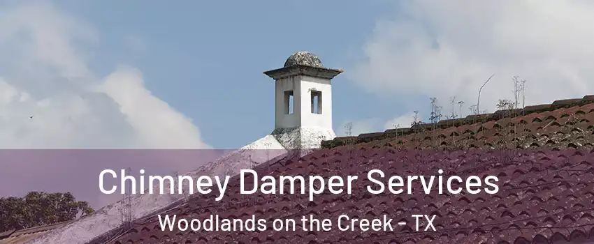 Chimney Damper Services Woodlands on the Creek - TX
