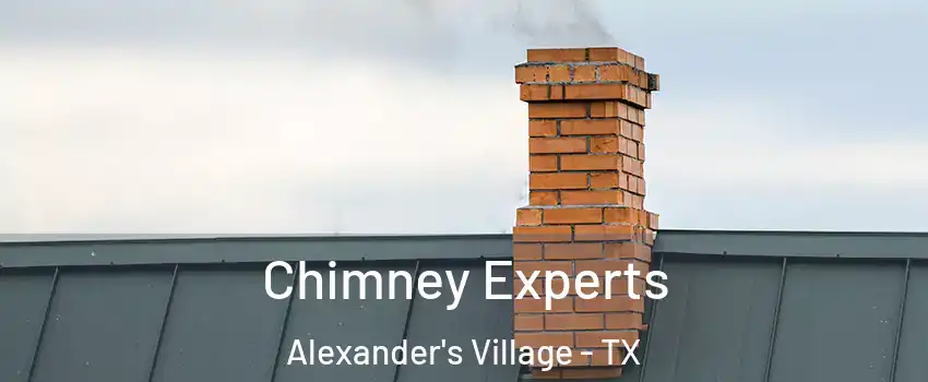 Chimney Experts Alexander's Village - TX