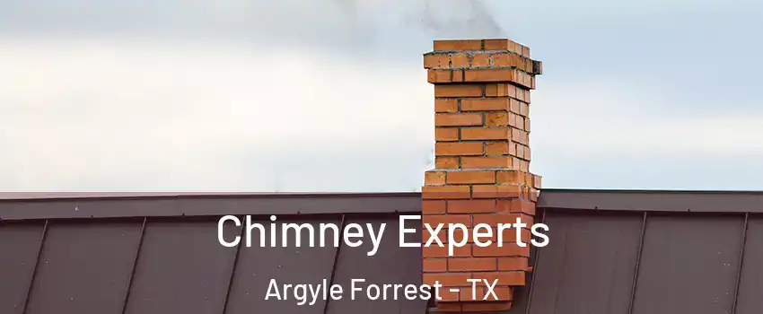 Chimney Experts Argyle Forrest - TX