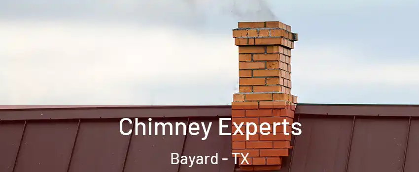 Chimney Experts Bayard - TX