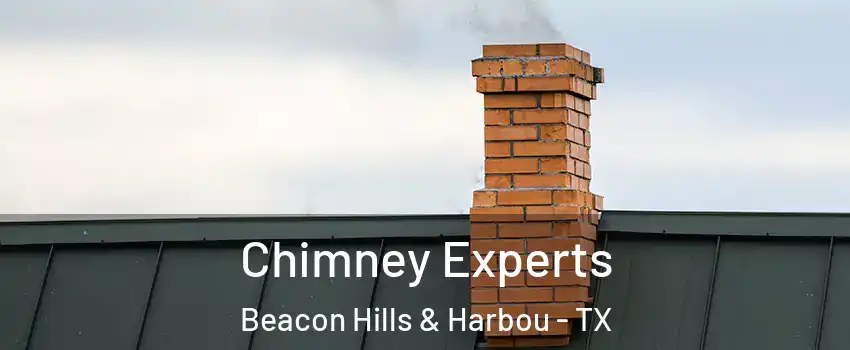 Chimney Experts Beacon Hills & Harbou - TX
