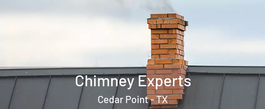 Chimney Experts Cedar Point - TX