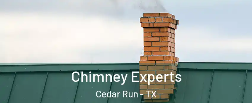 Chimney Experts Cedar Run - TX