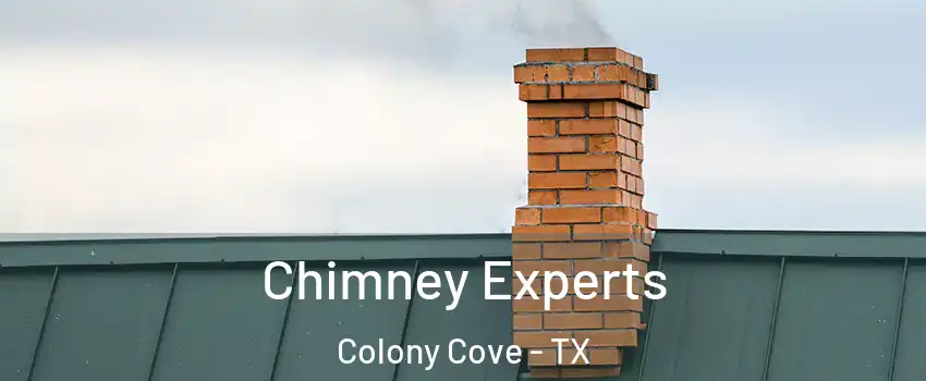 Chimney Experts Colony Cove - TX