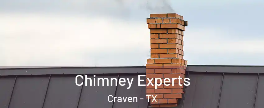 Chimney Experts Craven - TX