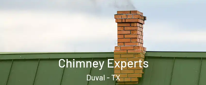 Chimney Experts Duval - TX