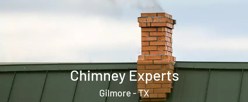 Chimney Experts Gilmore - TX