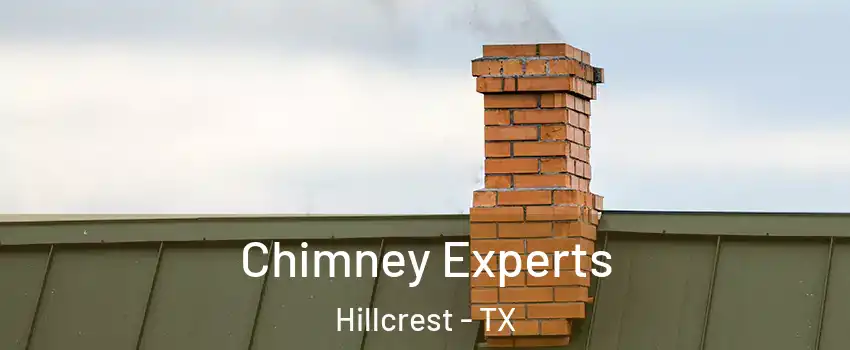 Chimney Experts Hillcrest - TX