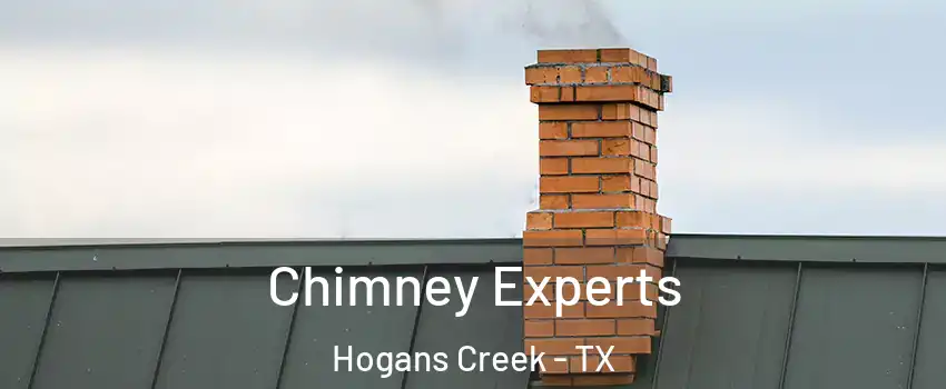 Chimney Experts Hogans Creek - TX