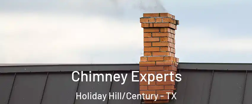 Chimney Experts Holiday Hill/Century - TX