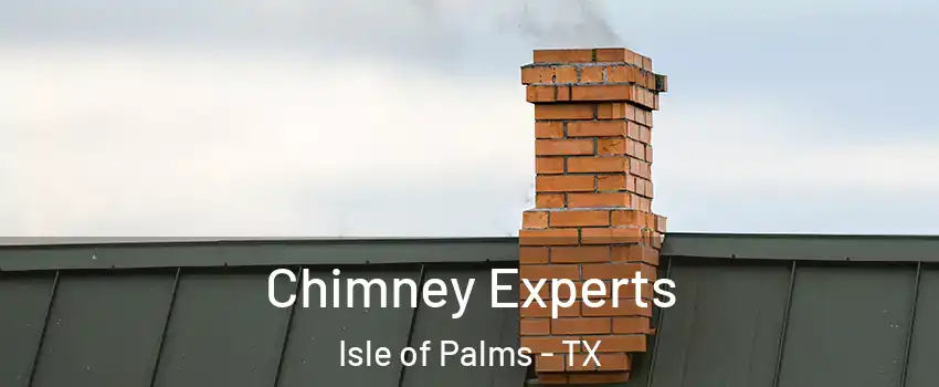 Chimney Experts Isle of Palms - TX