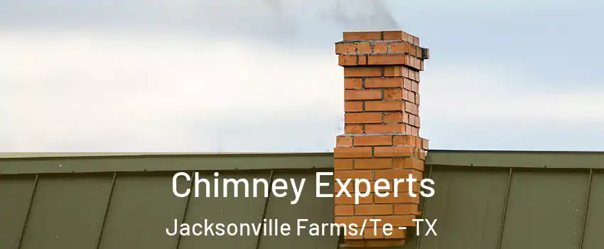 Chimney Experts Jacksonville Farms/Te - TX