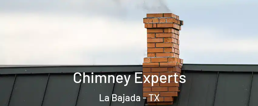 Chimney Experts La Bajada - TX
