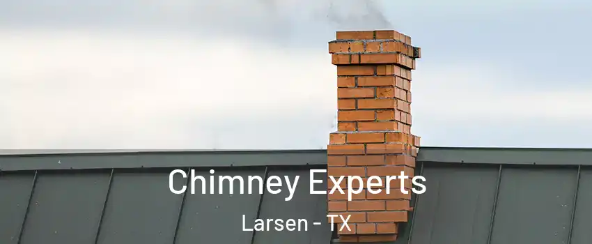 Chimney Experts Larsen - TX