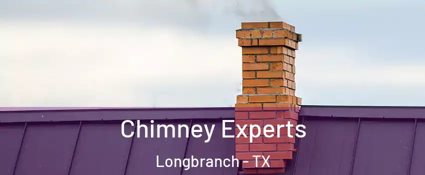 Chimney Experts Longbranch - TX