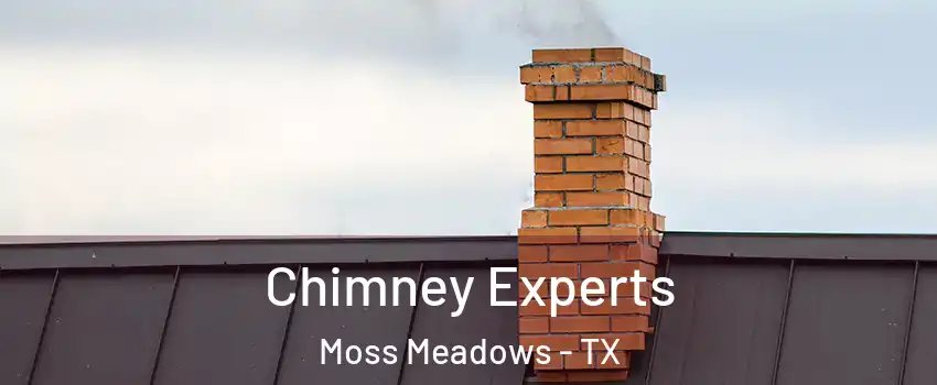 Chimney Experts Moss Meadows - TX
