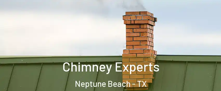 Chimney Experts Neptune Beach - TX