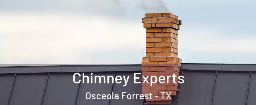 Chimney Experts Osceola Forrest - TX