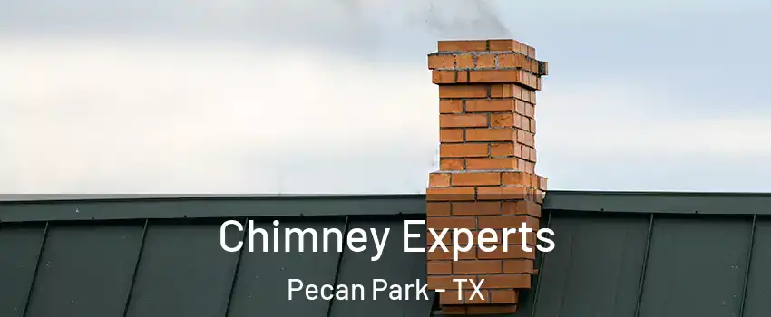 Chimney Experts Pecan Park - TX
