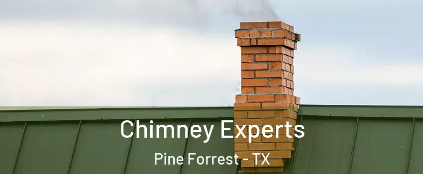Chimney Experts Pine Forrest - TX