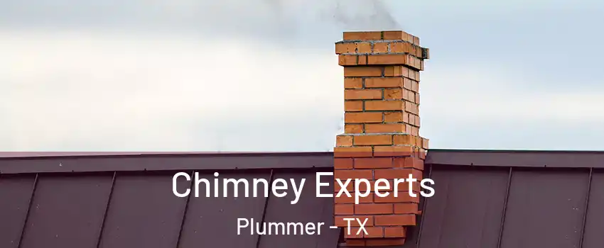 Chimney Experts Plummer - TX
