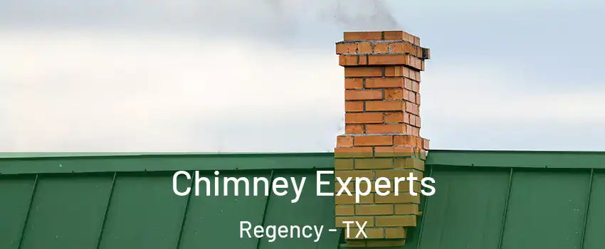 Chimney Experts Regency - TX