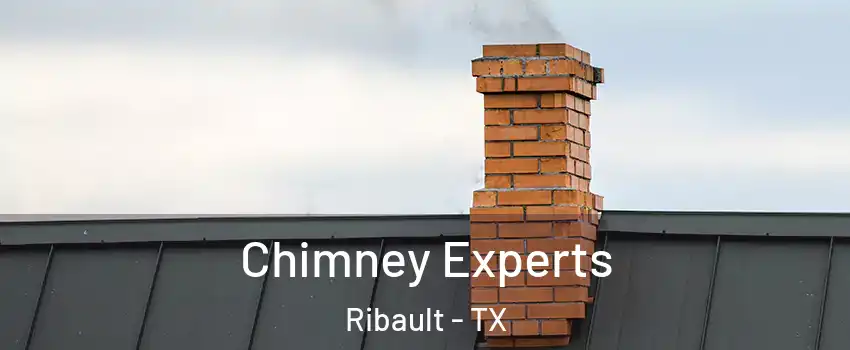 Chimney Experts Ribault - TX
