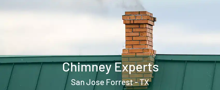 Chimney Experts San Jose Forrest - TX