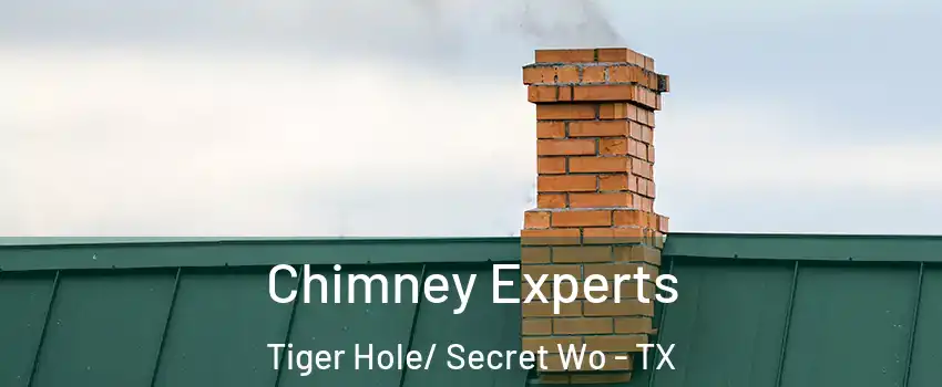 Chimney Experts Tiger Hole/ Secret Wo - TX