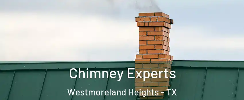 Chimney Experts Westmoreland Heights - TX