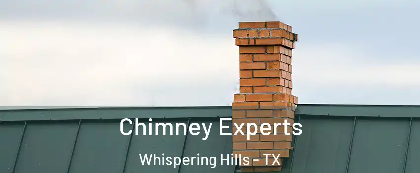 Chimney Experts Whispering Hills - TX