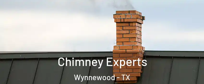 Chimney Experts Wynnewood - TX