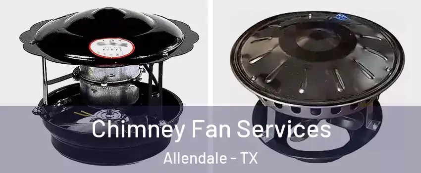 Chimney Fan Services Allendale - TX
