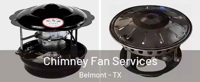 Chimney Fan Services Belmont - TX