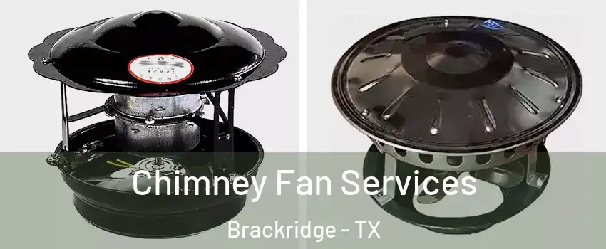 Chimney Fan Services Brackridge - TX